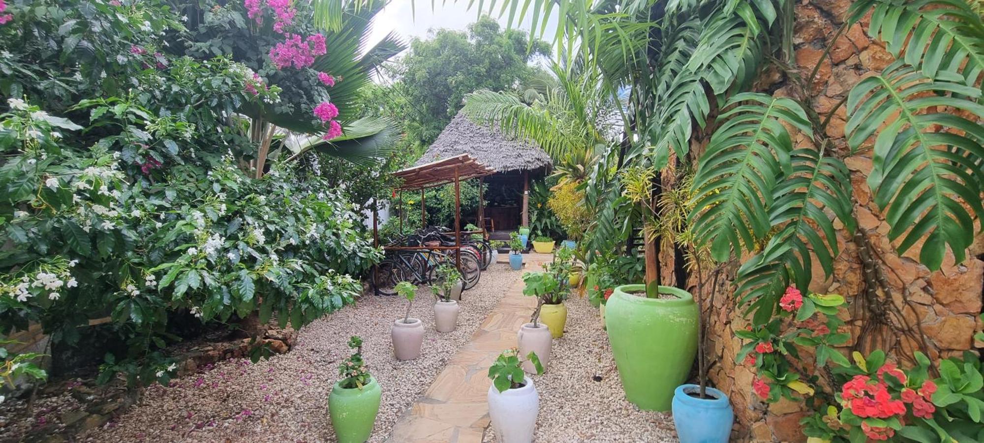Salama & Mbuyuni Bungalows Matemwe (Zanzibar) Exterior foto
